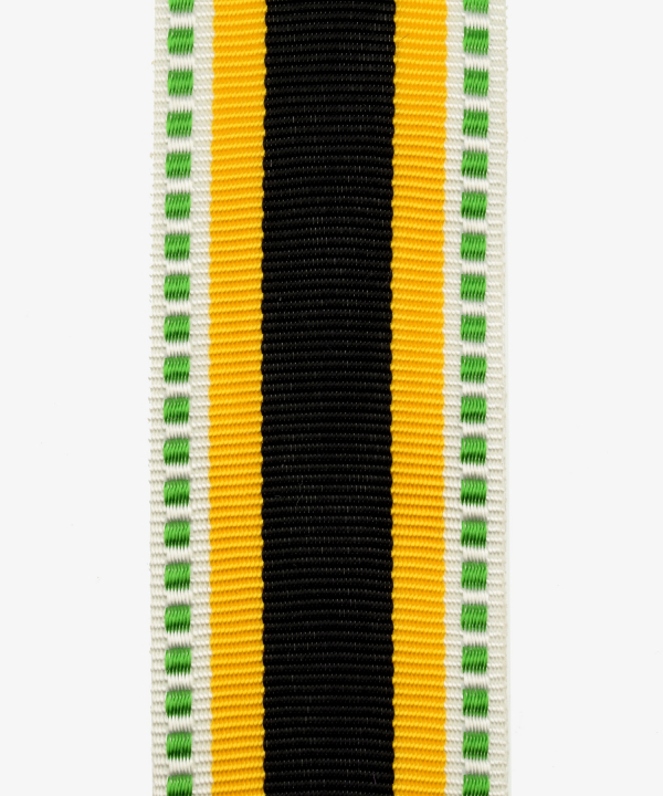 Sachsen-Meiningen, Medal of Honor for Merit in War (30)